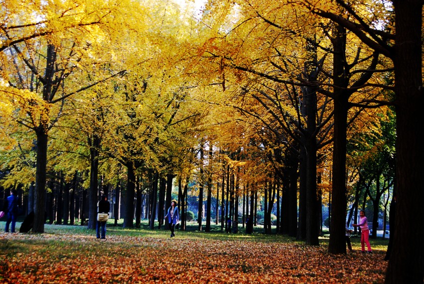 DSC_1360_conew1.JPG