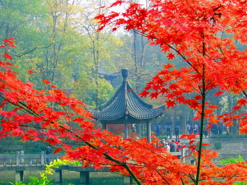 栖霞红叶-1.jpg