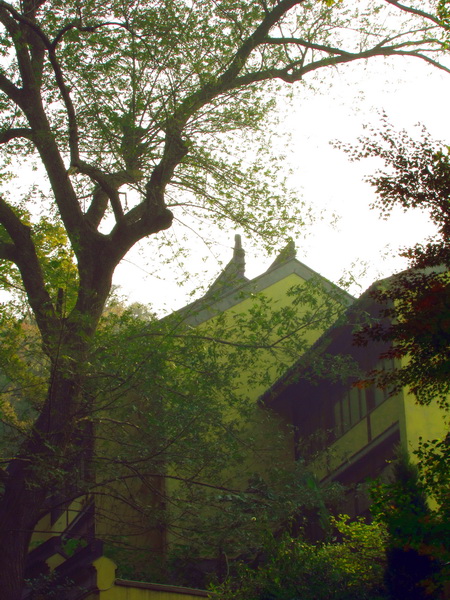 寺庙之秋-1.jpg