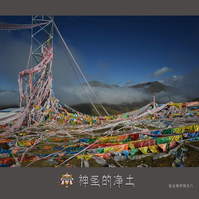 神圣的净土之八.jpg
