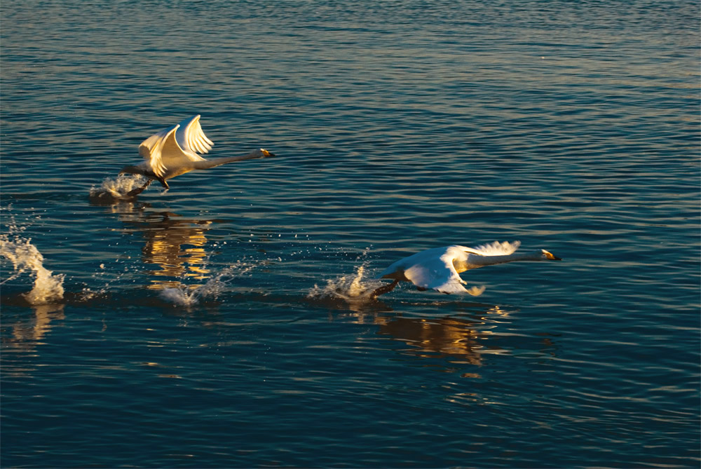 DSC5002.jpg