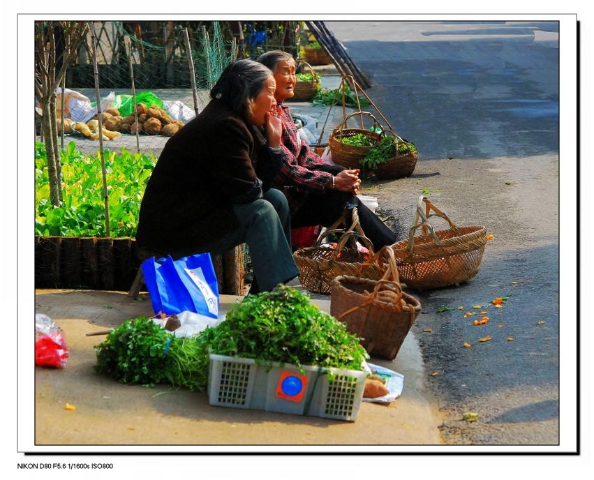 DSC_2836_conew1.JPG