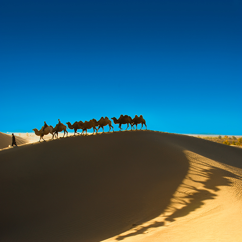 8_DSC_1621-׶ԭ.jpg
