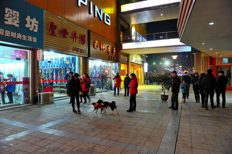 _LMI6565_副本.jpgok.jpg