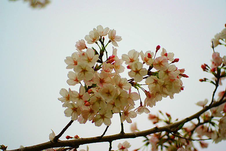 DSC04083_副本.jpg