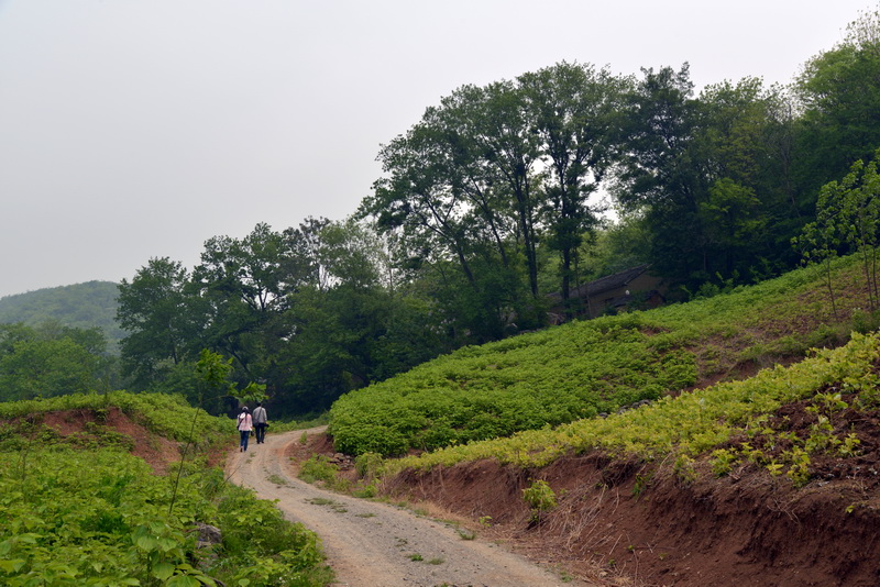山路弯弯-1.jpg