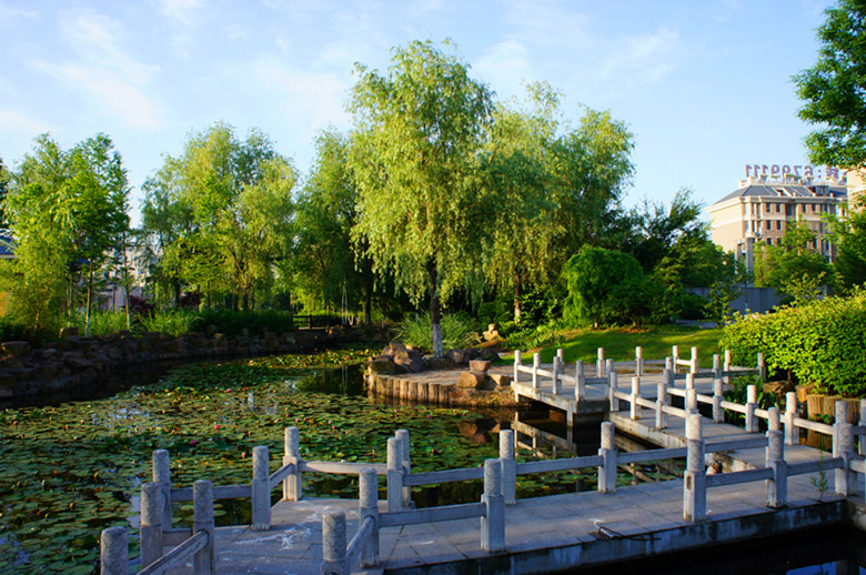 DSC00006_.jpg
