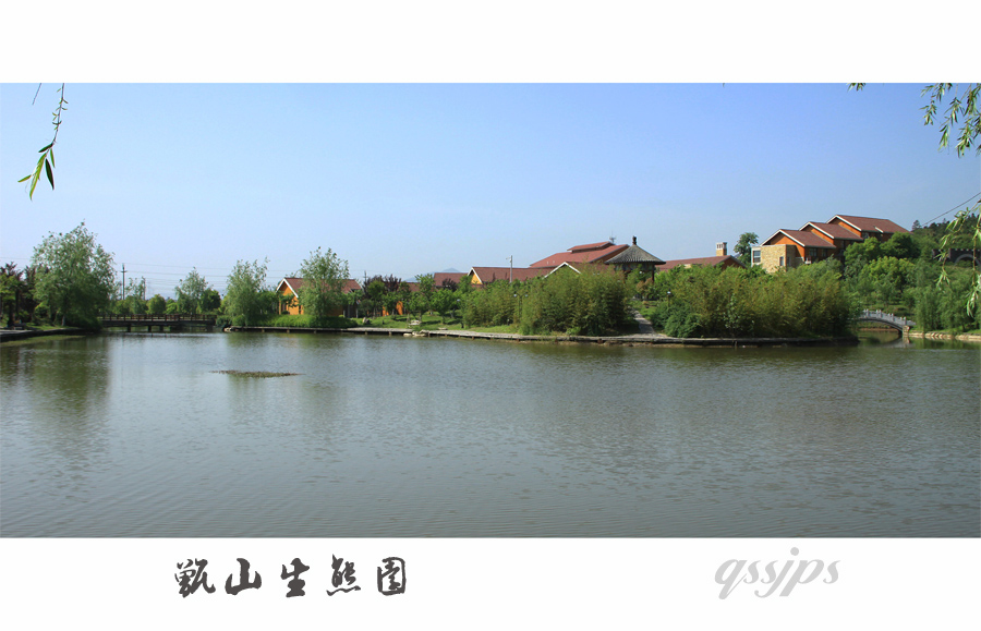 复件 IMG_5740.jpg