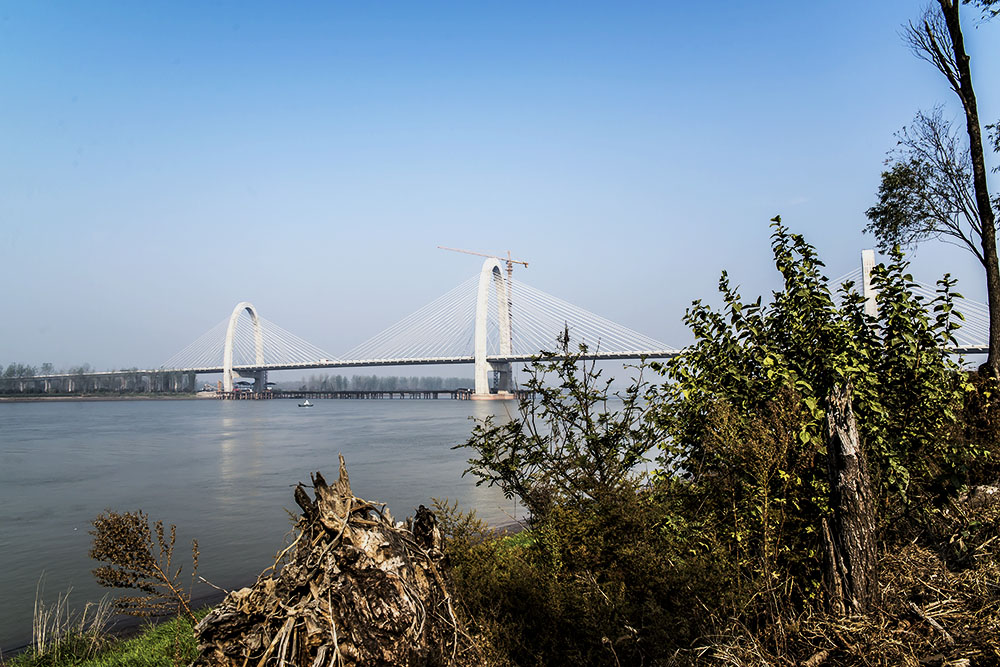 DSC_2115-s.jpg