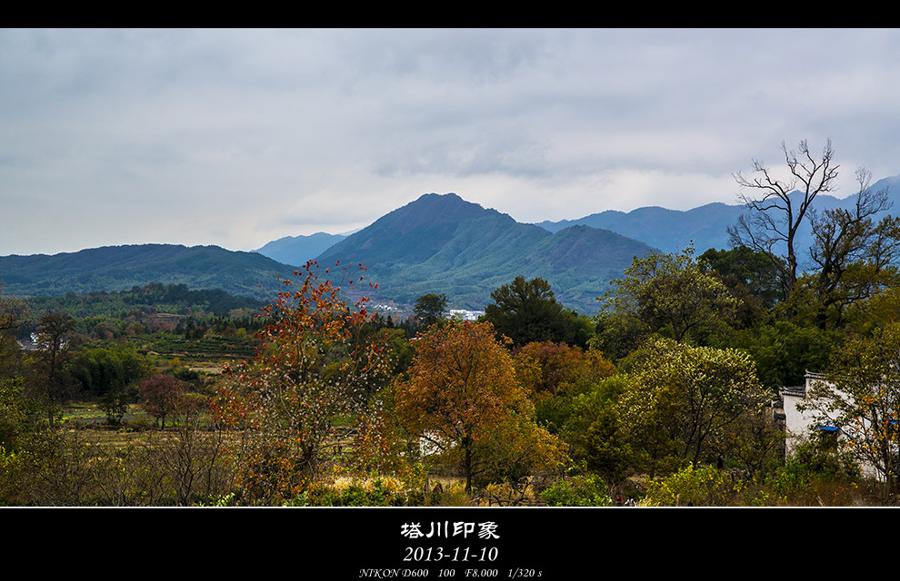 DSC_3166-s_副本.jpg