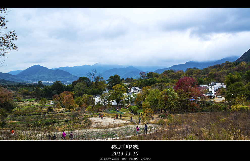 DSC_3156-s_副本.jpg