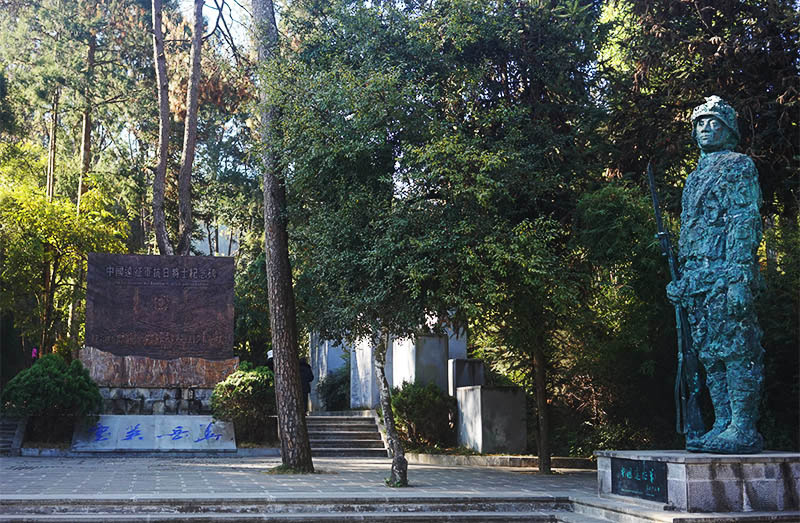 DSC00800_.jpg