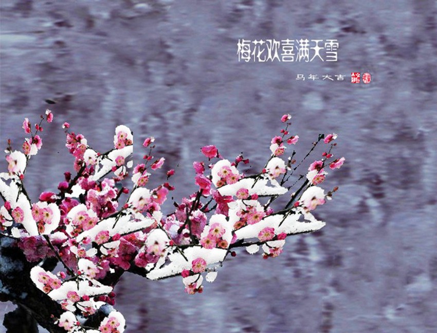 未标题-111_conew2.jpg
