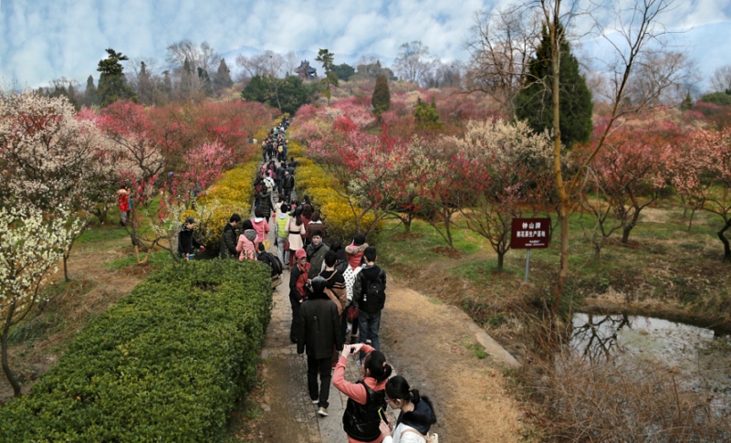 复件 IMG_0746.JPG
