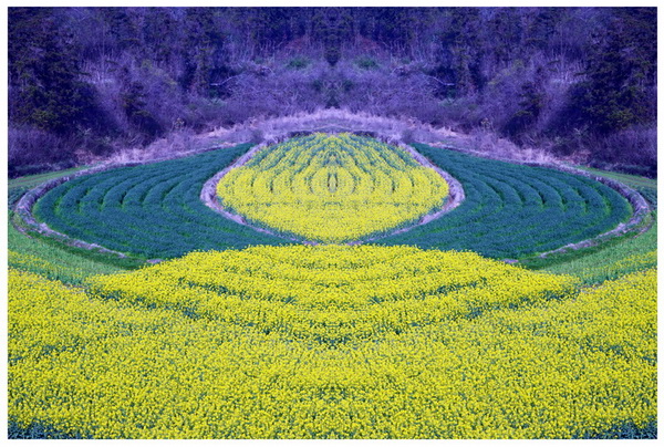 Ͳ˻-2.jpg