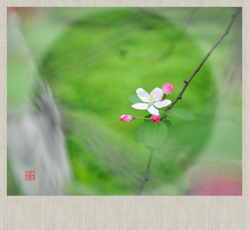 _DSC4862_副本.jpg