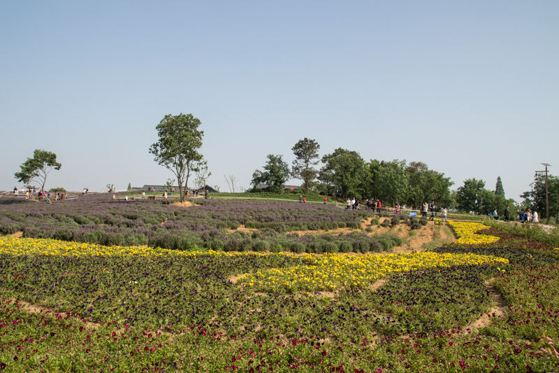 IMG_0050-1.jpg