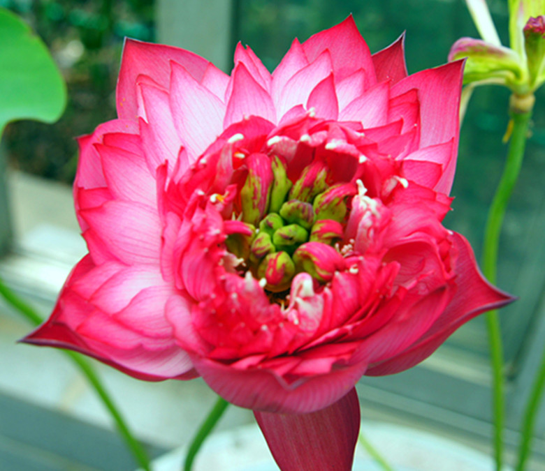 DSC03385_.jpg