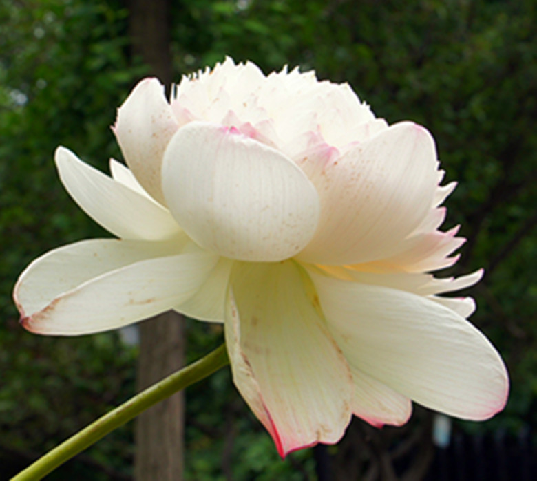 DSC03415_.jpg
