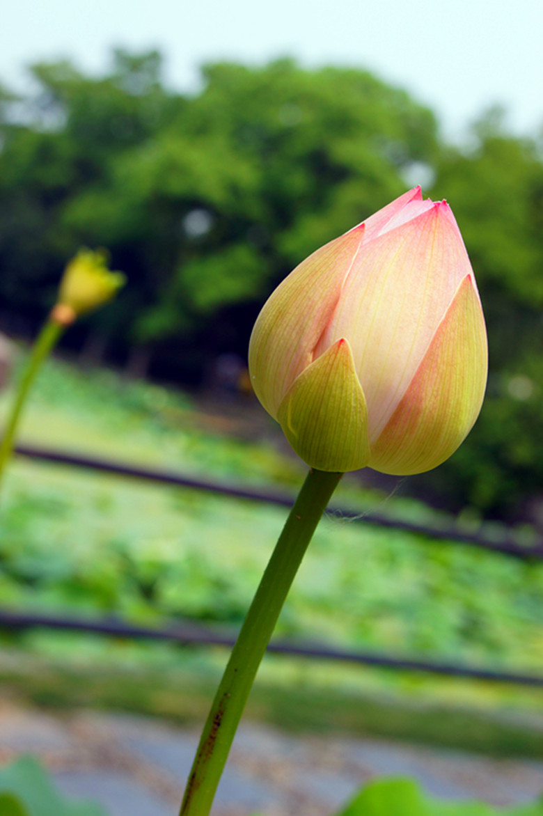 DSC03340_.jpg