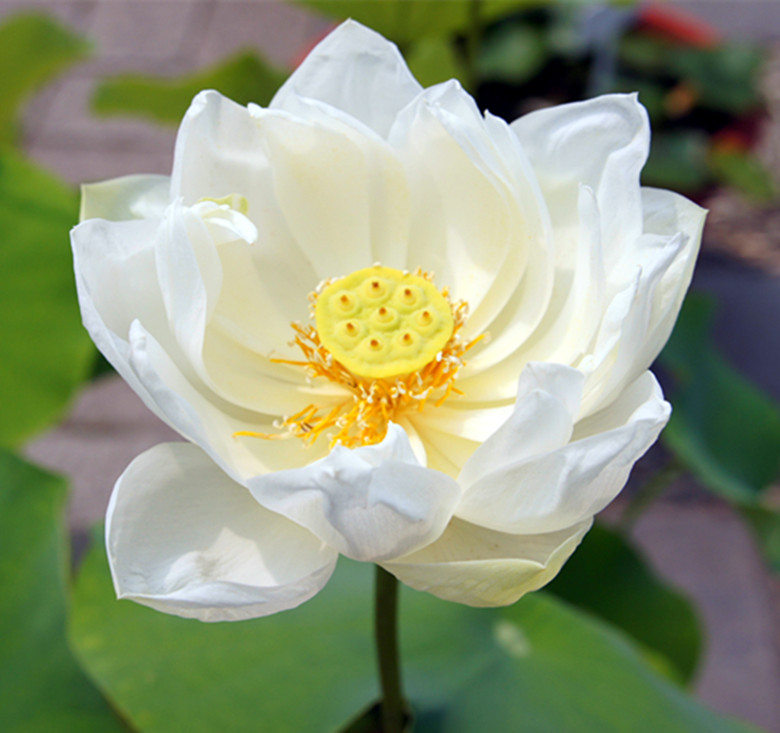 DSC03344_.jpg