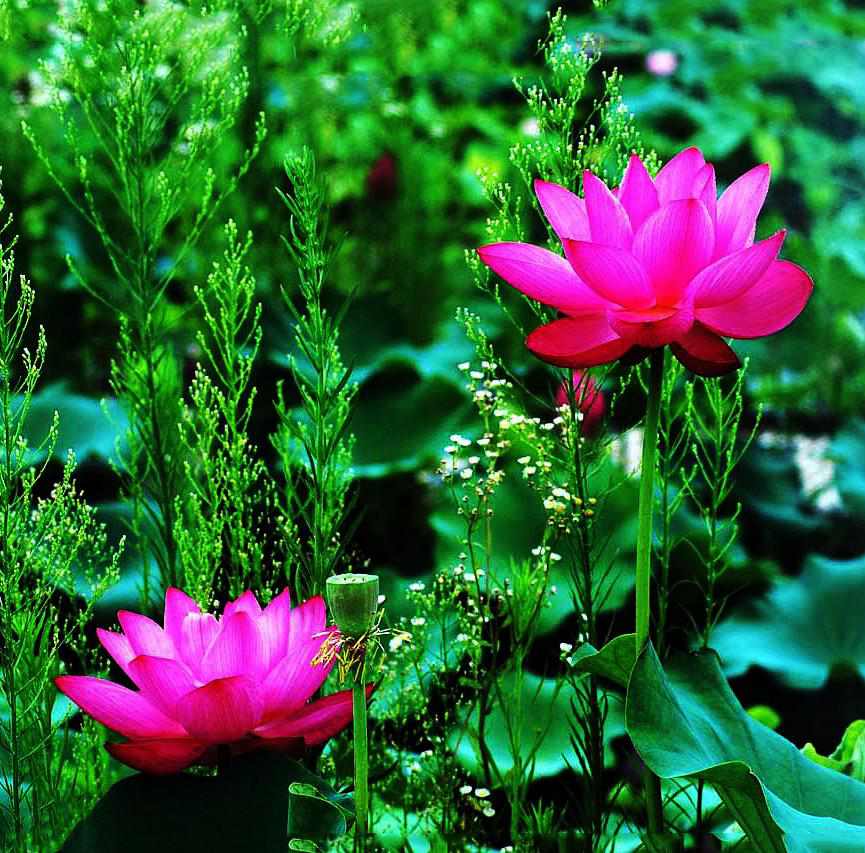 复件 DSC_0092_conew1_副本.jpg