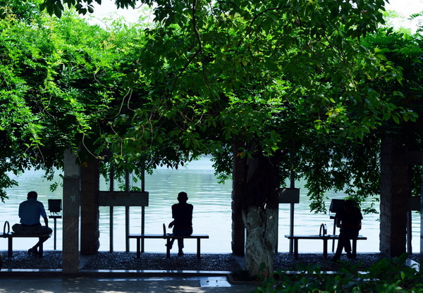 湖滨剪影-1-1.jpg