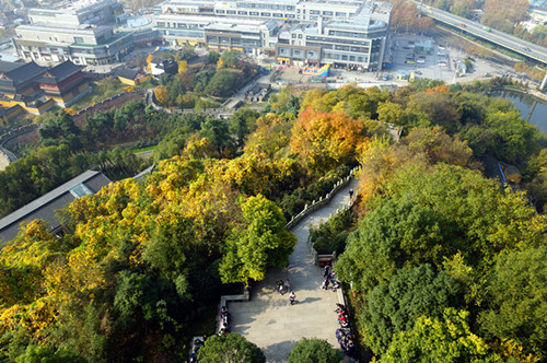 DSC06309_副本_副本.jpg
