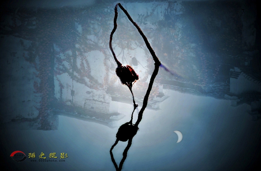 残荷冷月伴古城.jpg