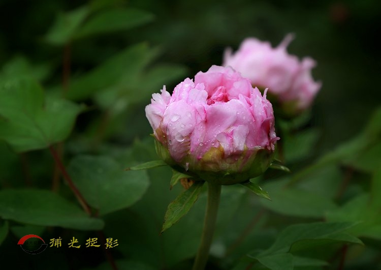 IMG_5864.JPG