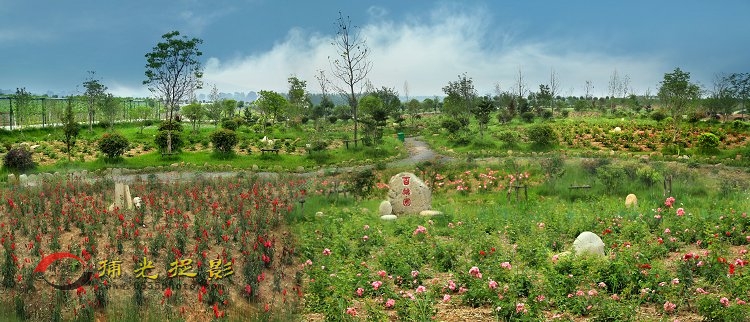 百草园全景图.jpg