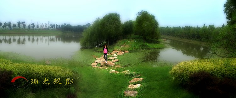 林海风光.jpg