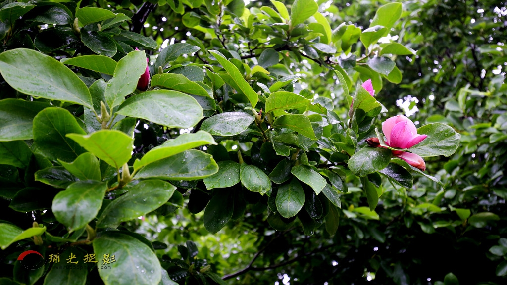 IMG_0417.jpg