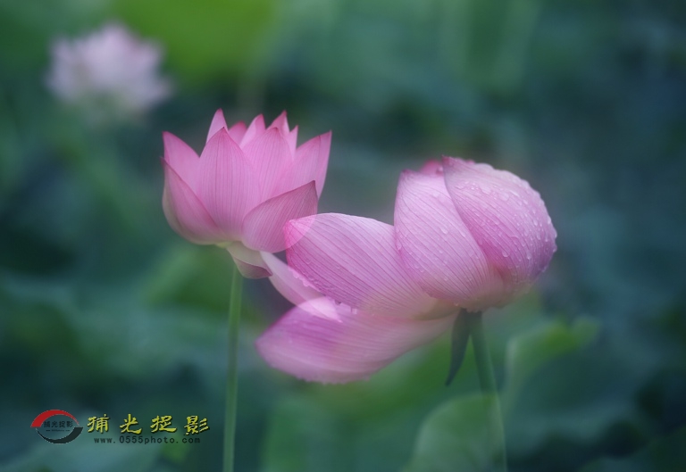 复件 IMG_5686.JPG