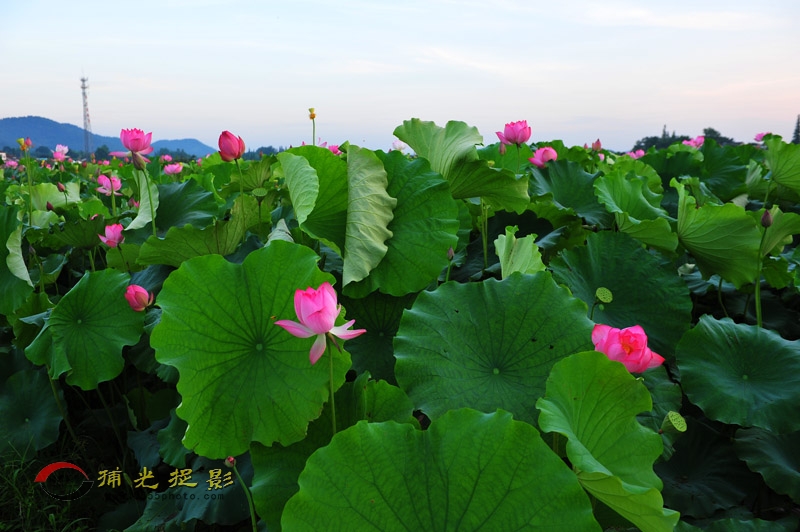 LCL_7030.JPG