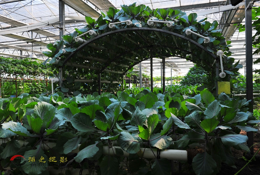LCL_8928.JPG