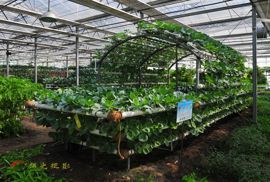 LCL_8946.JPG