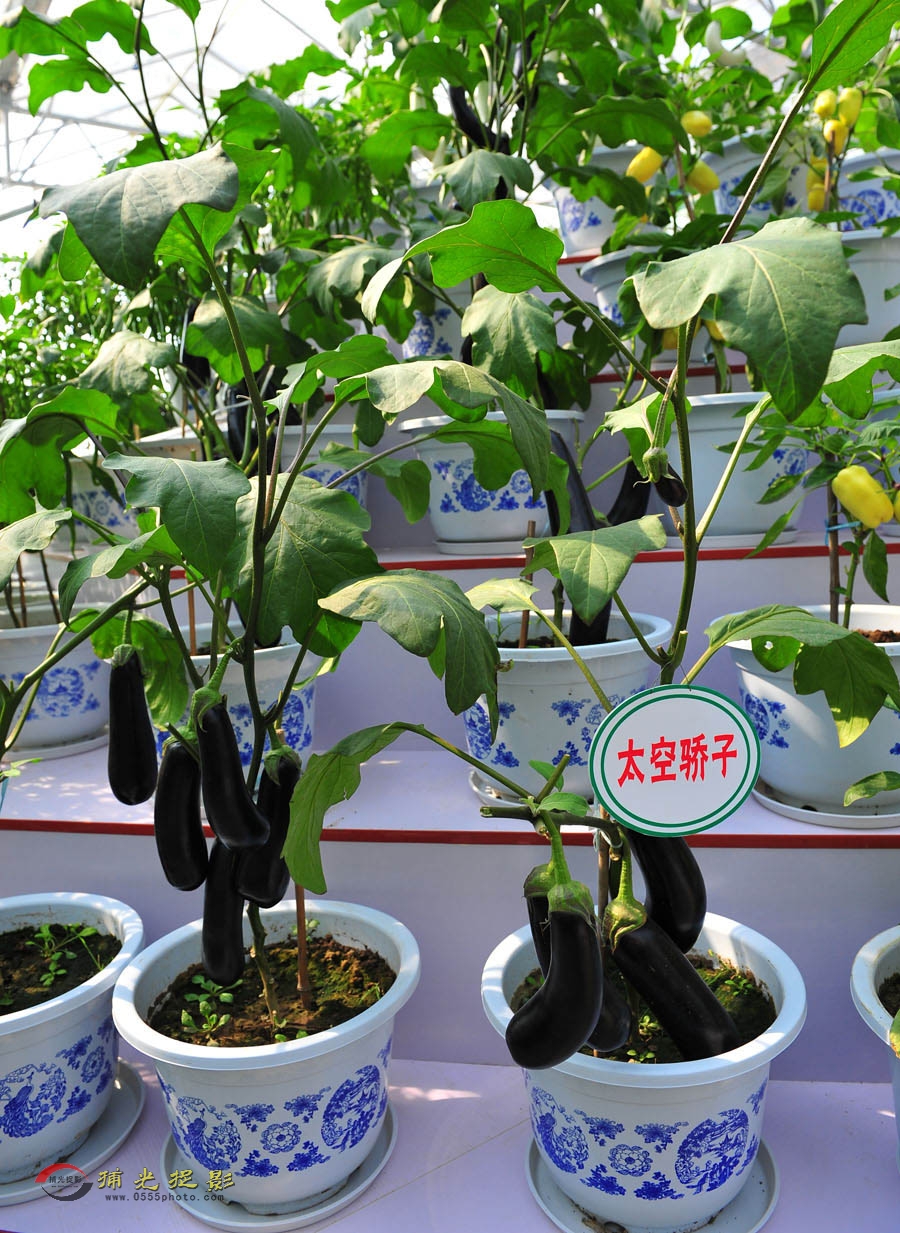 LCL_9010.JPG