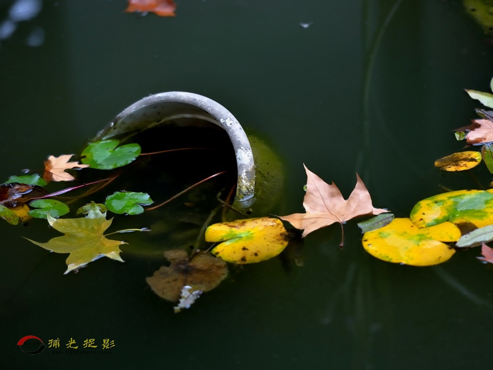 D8A_5898.jpg
