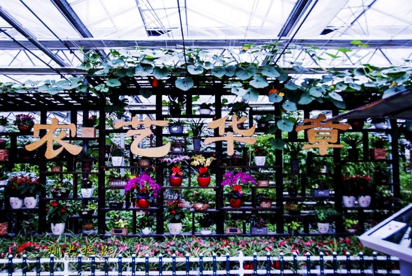 DSC_0032_conew2.JPG