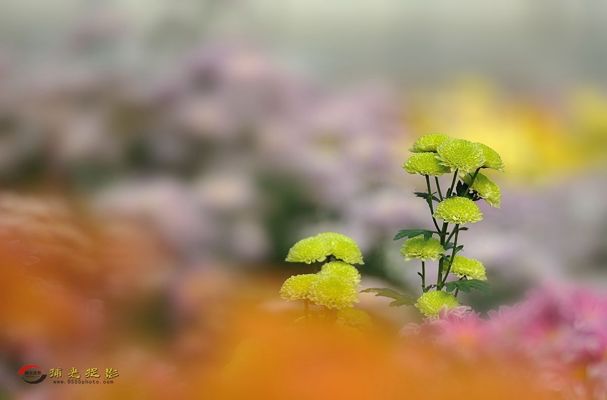 LMD_1122_.jpg