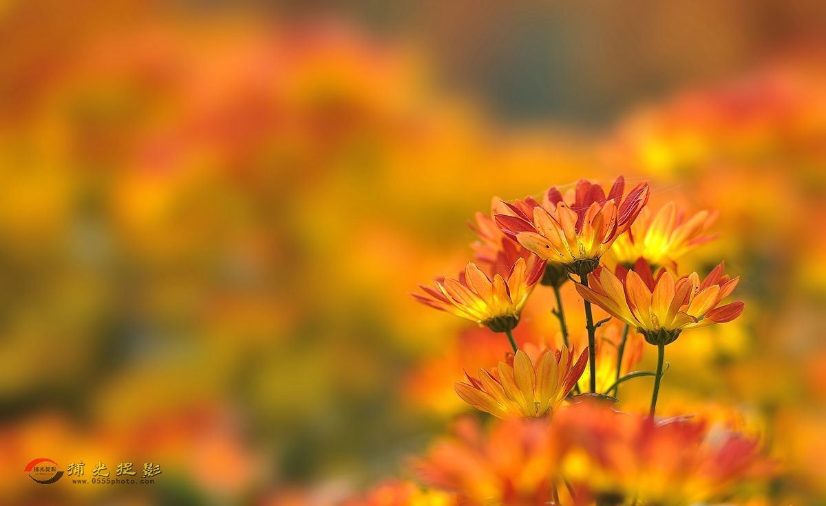 LMD_1128_.jpg