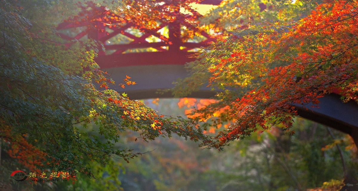 LMD_0982_副本.jpg