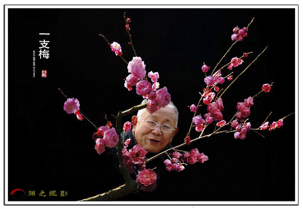 老有所乐，乐在摄中