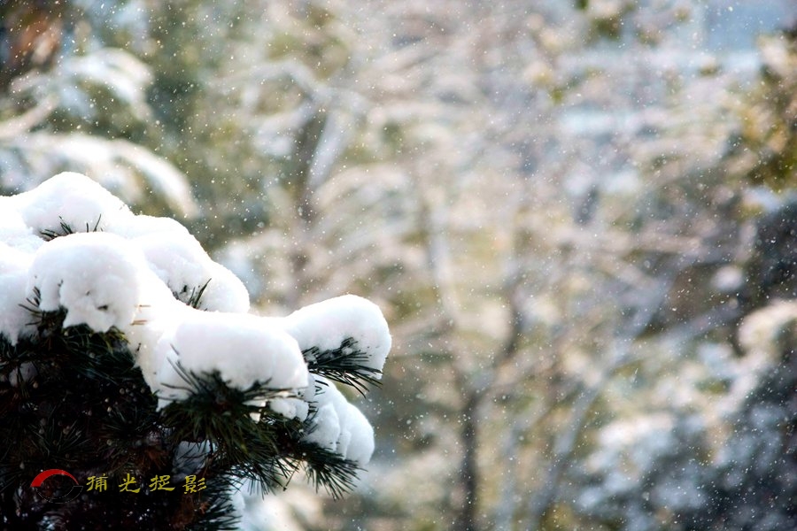 DSC_2283_.jpg