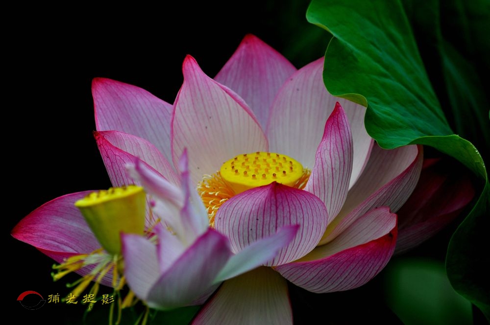 DSC_3515_.jpg