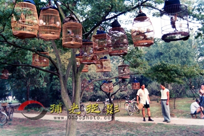 2.《鸟趣》  郭建明.JPG