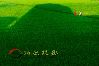 《和美田园》马俊.JPG