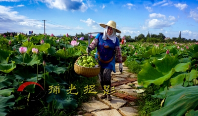 《满载而归》秦红梅.JPG