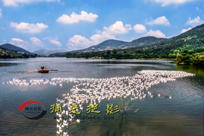 《那山那水》朱根莲.JPG